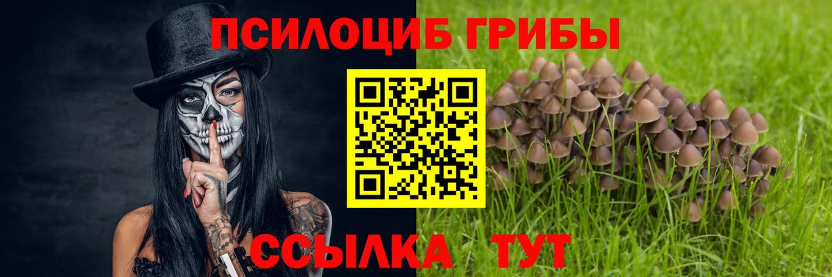 Качканар  Галлюциногенные грибы ЛСД  Псилоцибиновые грибы MAGIC MUSHROOMS  Вход с VPN 